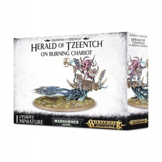 Warhammer Fantasy Battle Herald of Tzeentch on Burning Chariot