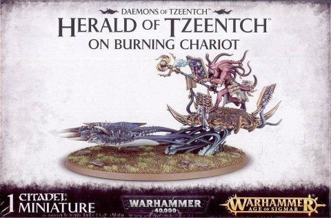 Warhammer Fantasy Battle Herald of Tzeentch on Burning Chariot