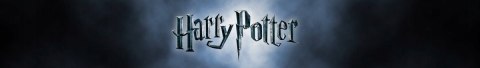 Puzzle Noble Collection Harry Potter 1000 elementów Dementors at Hogwarts