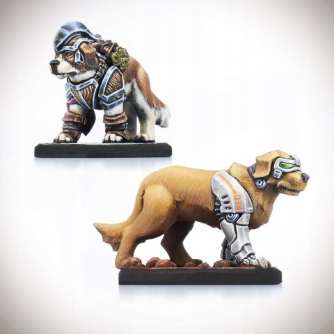 Animal Companions Dungeons and Dragons