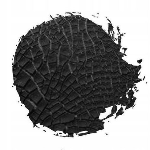 Farba Citadel Mordant Earth Technical 24 ml